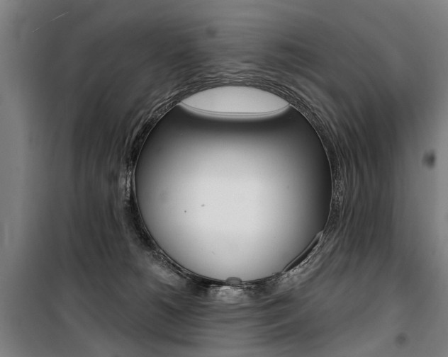 X0000100870180200806200911