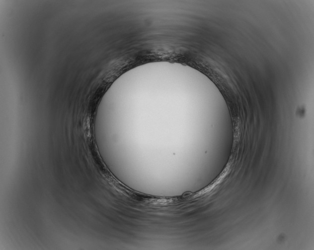 X0000100870182200806200911