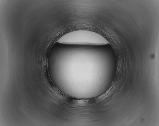 X0000100870184200806200911