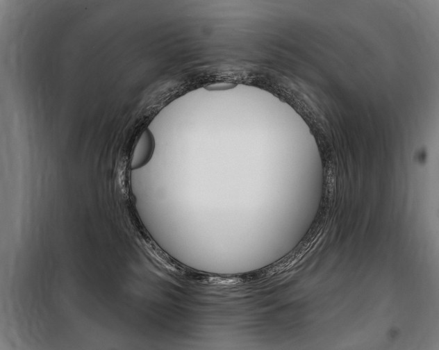 X0000100870185200806200911