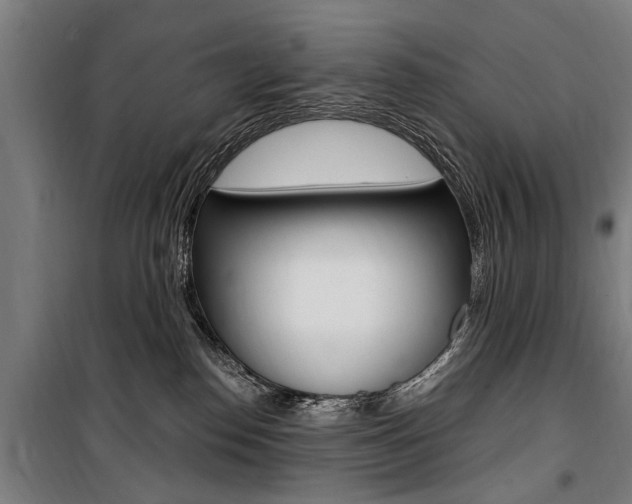X0000100870186200806200911