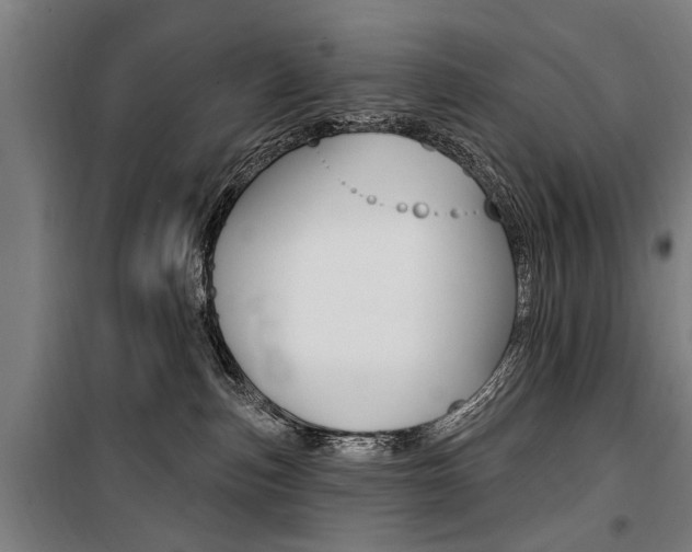 X0000100870187200806200911
