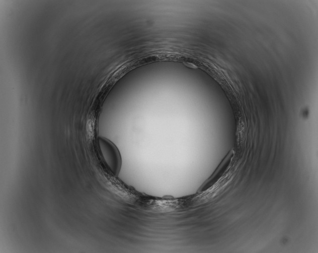 X0000100870188200806200911