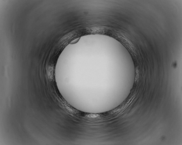 X0000100870189200806200911