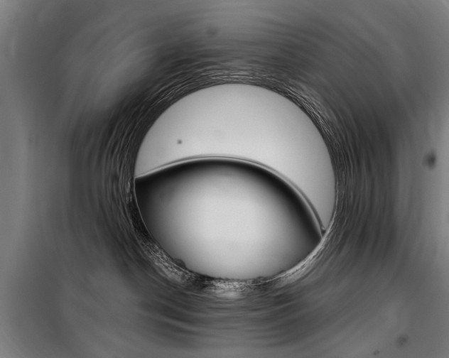X0000100870190200806200911