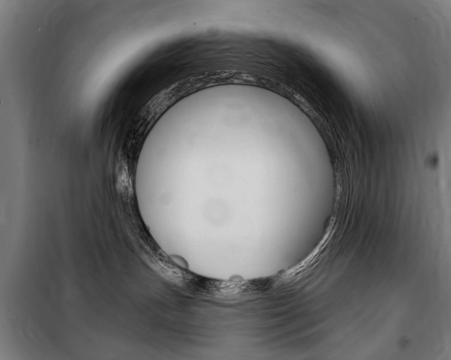 X0000100870191200806200911