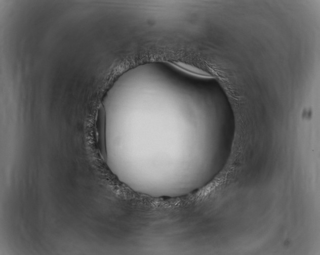 X0000100870192200806200911