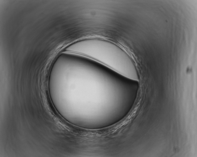 X0000100870193200806200911
