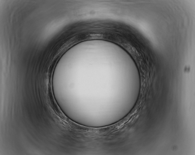 X0000100870194200806200911