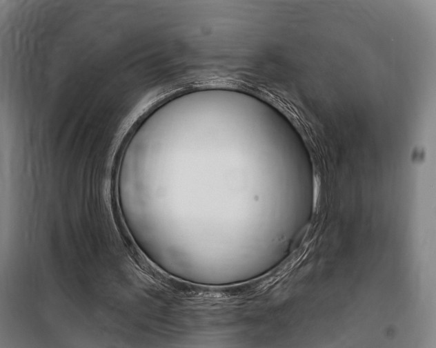 X0000100870195200806200911