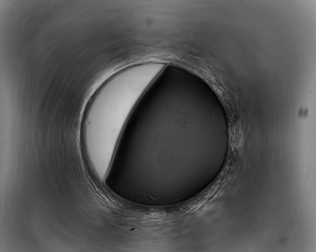 X0000100870196200806200911