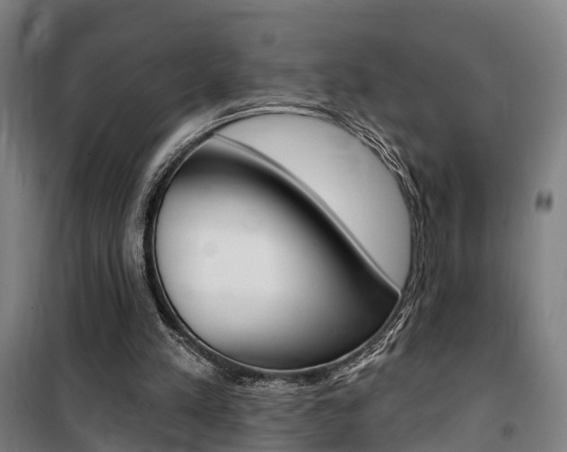 X0000100870197200806200911