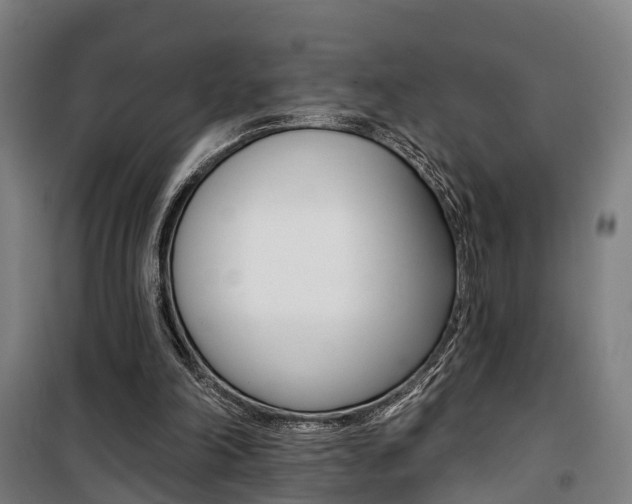 X0000100870198200806200911
