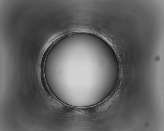 X0000100870199200806200911