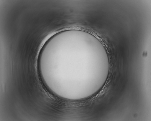 X0000100870200200806200911