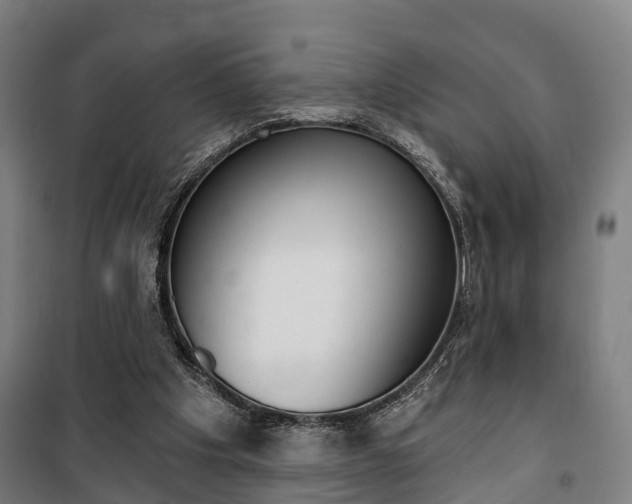 X0000100870201200806200911