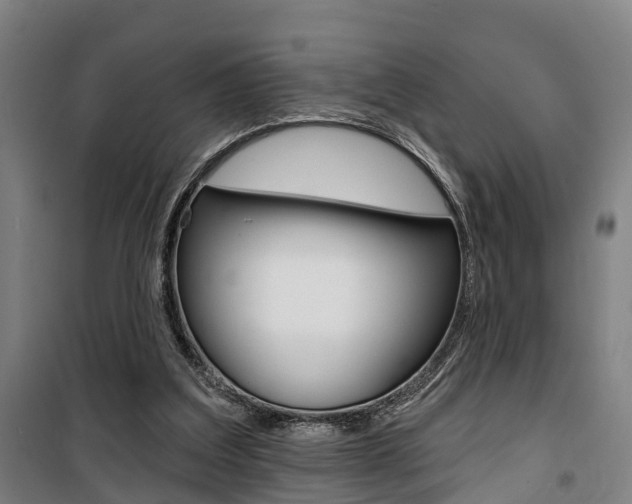 X0000100870203200806200911