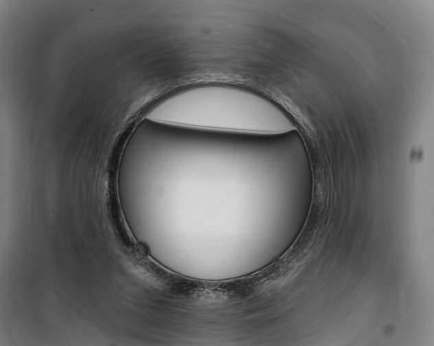 X0000100870207200806200911