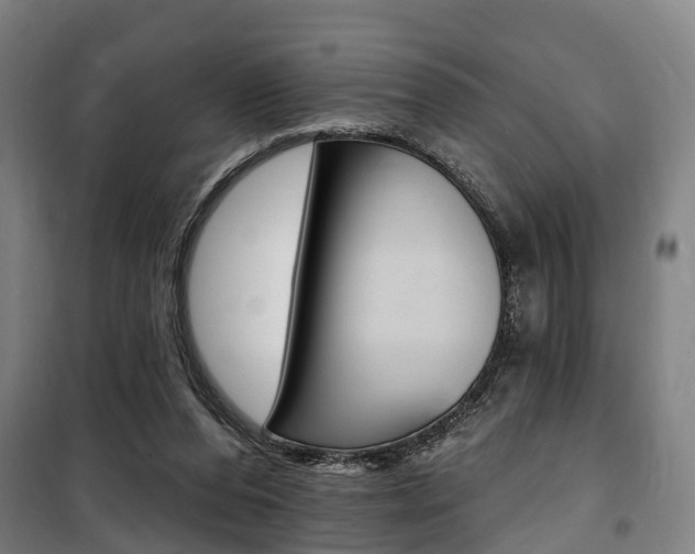 X0000100870208200806200911