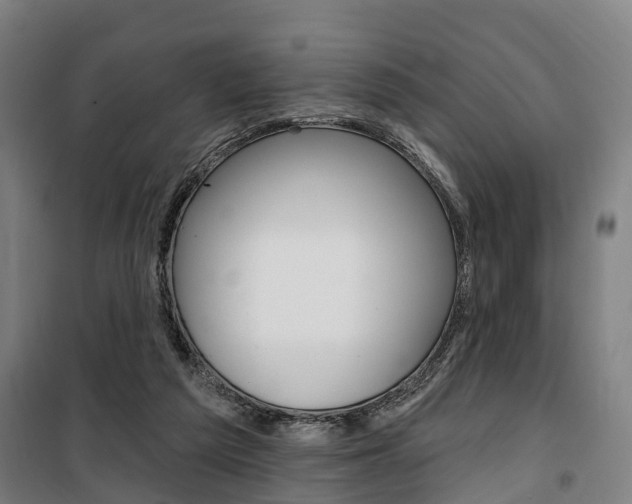 X0000100870209200806200911