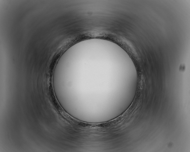 X0000100870210200806200911
