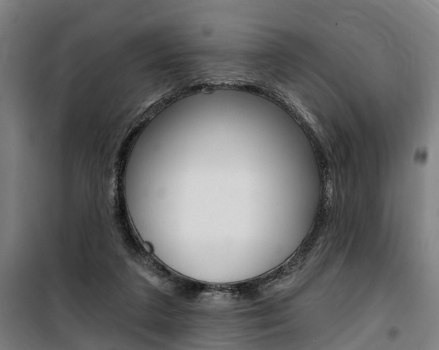 X0000100870211200806200910