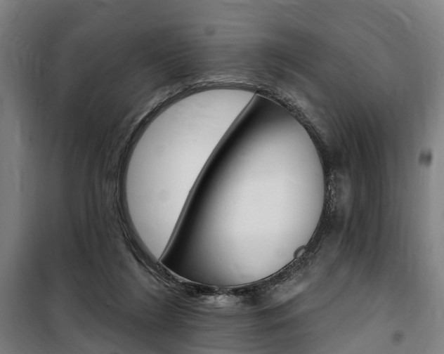 X0000100870212200806200910