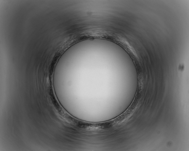 X0000100870213200806200910