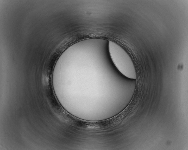 X0000100870214200806200910