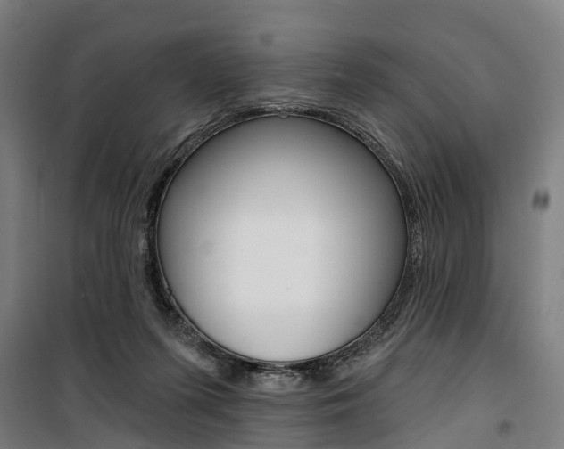 X0000100870215200806200910