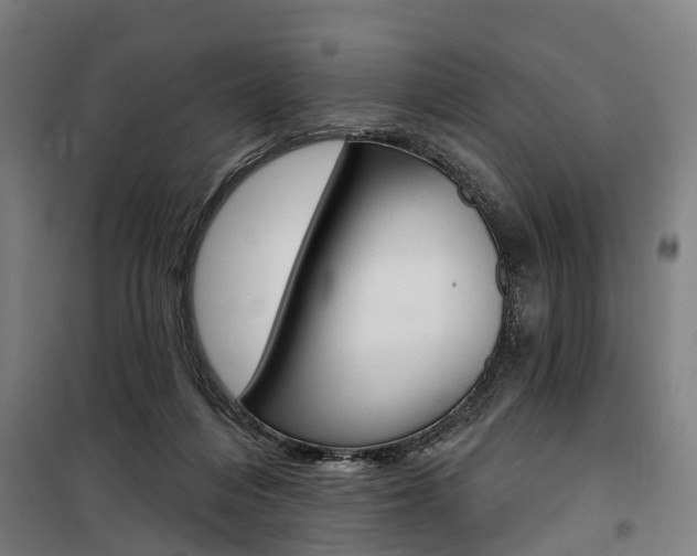 X0000100870216200806200910