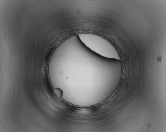X0000100870218200806200910