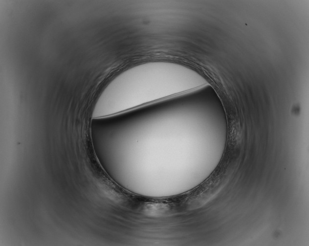 X0000100870220200806200910