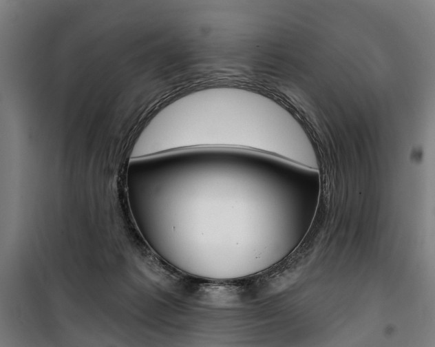 X0000100870221200806200910