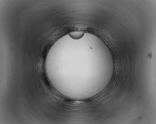 X0000100870222200806200910