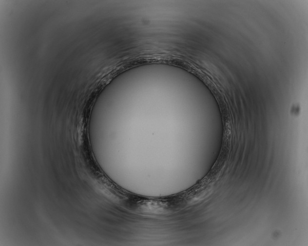 X0000100870223200806200910