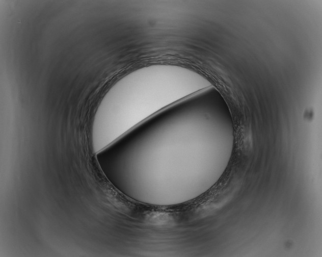 X0000100870224200806200910