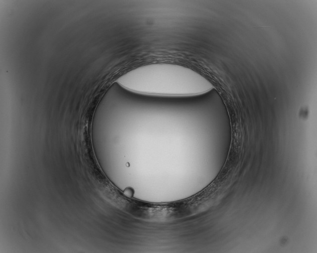 X0000100870225200806200910
