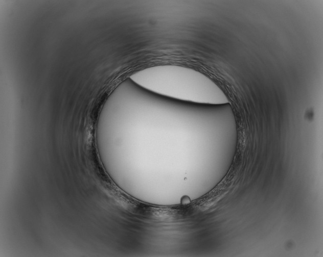 X0000100870226200806200910