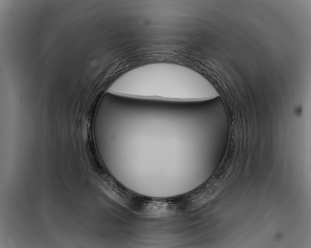 X0000100870227200806200910