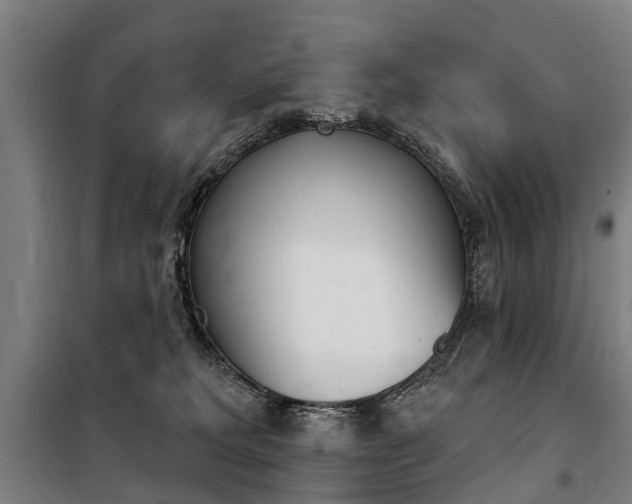 X0000100870229200806200910