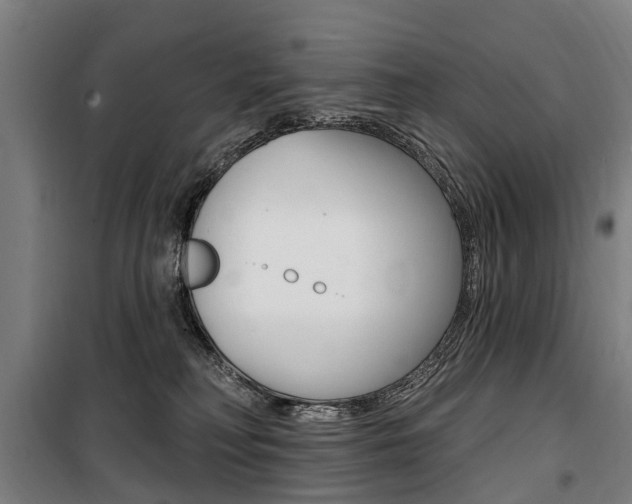 X0000100870230200806200910