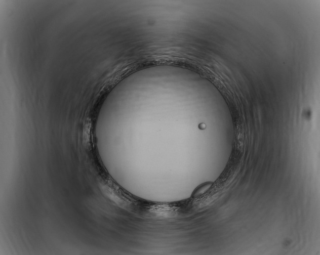 X0000100870231200806200910
