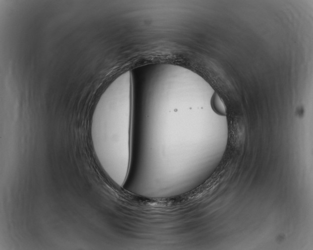 X0000100870232200806200910