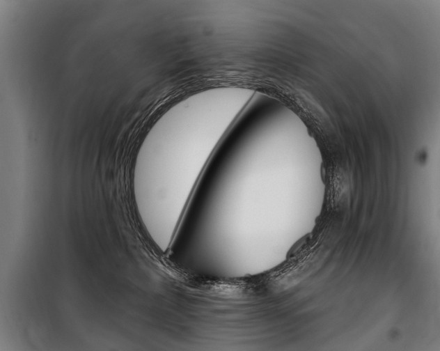 X0000100870236200806200910