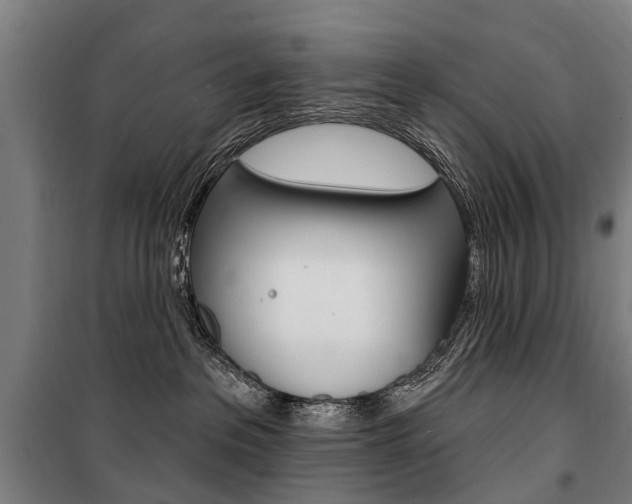 X0000100870237200806200910
