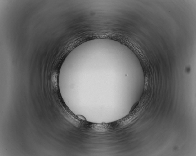 X0000100870238200806200910