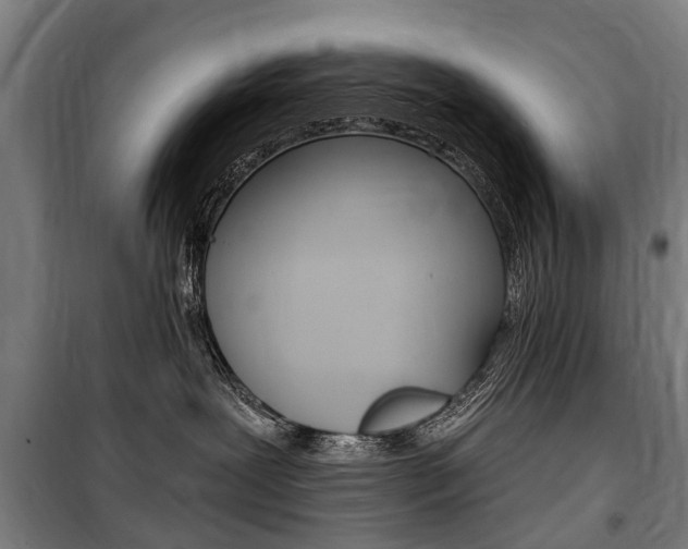 X0000100870239200806200910