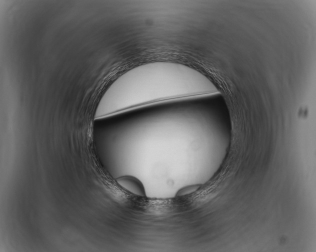 X0000100870240200806200910