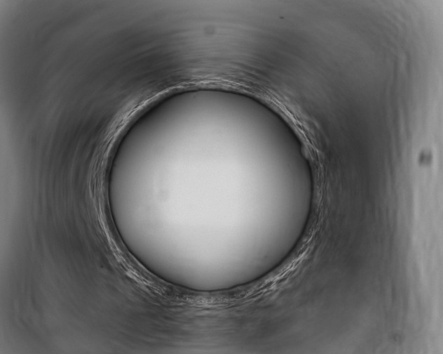 X0000100870241200806200909